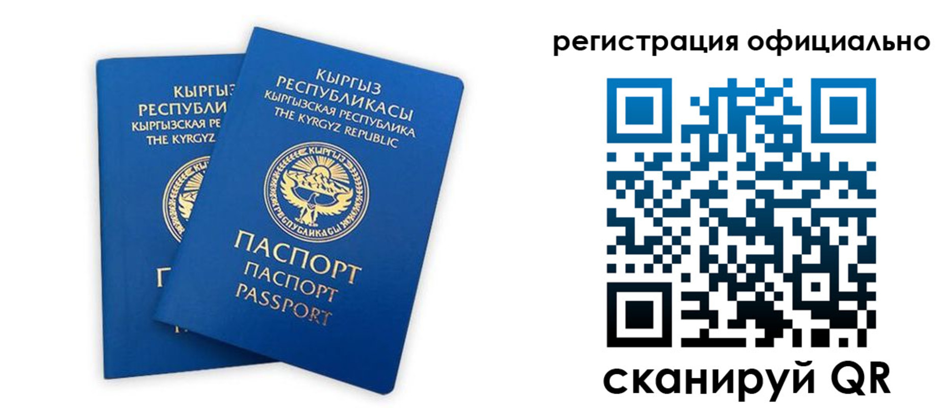 прописка поиск в Долинске